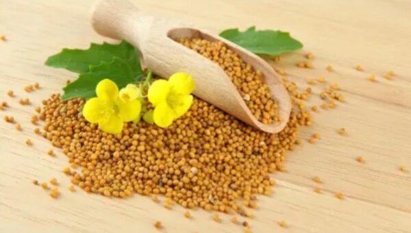 Mustard seeds could be the key to skin that looks younger